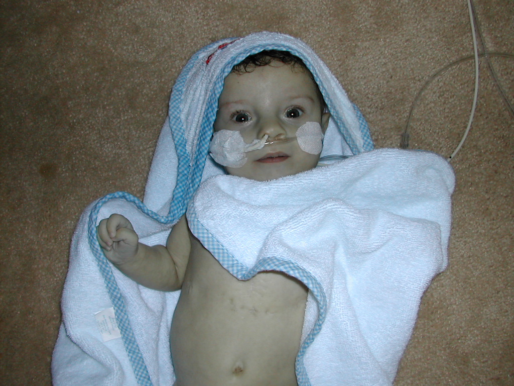 1002x745 pixels (301K)